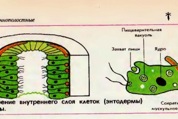 Сайт кракен не работает почему